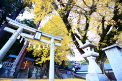 a2017.11.23 賀茂神社
