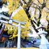 a2017.11.23 賀茂神社