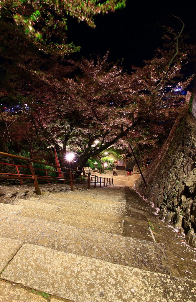 2017.4.15 紀三井寺