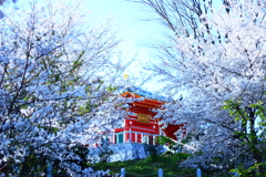 2018.3.28 霊現寺