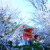 2018.3.28 霊現寺