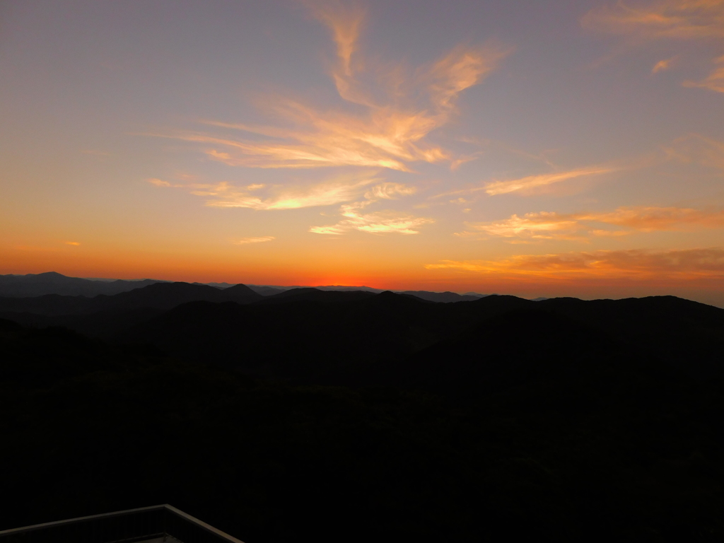朝目が覚めたので