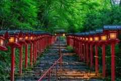 深緑と水音