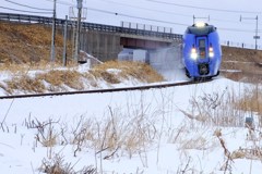 北海道の特急列車