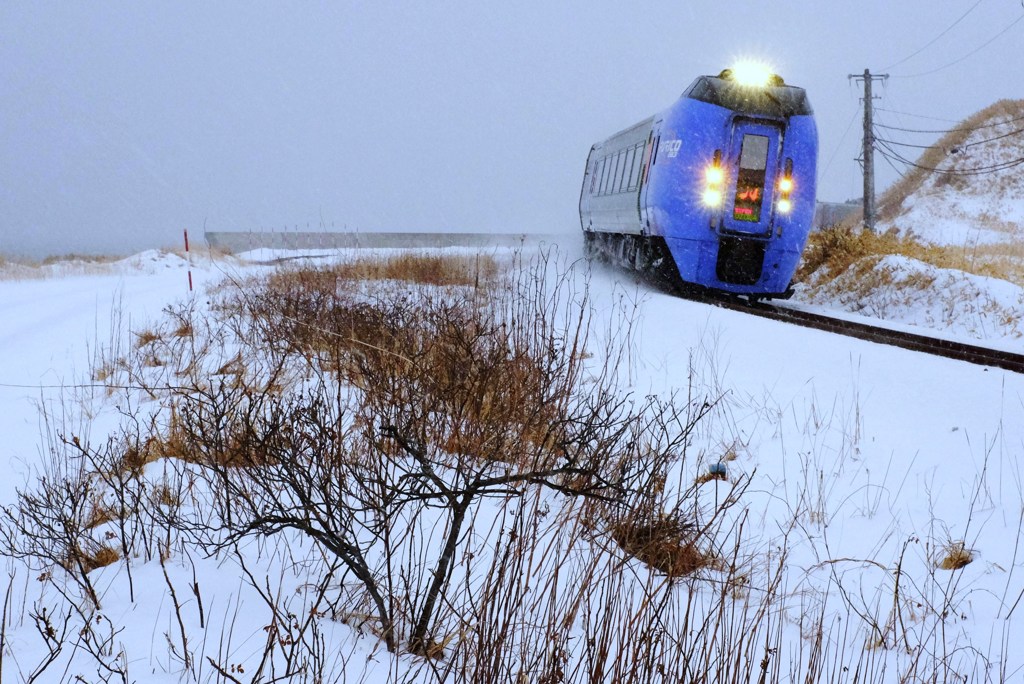 北海道の特急列車 2