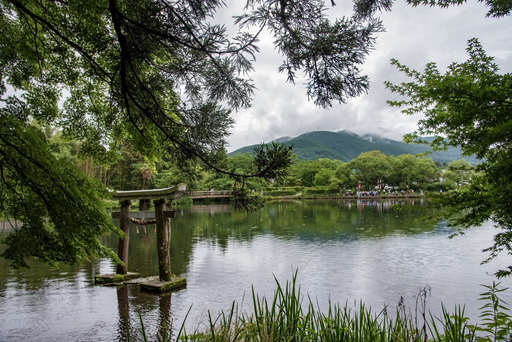金鱗湖