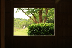 窓からの風景