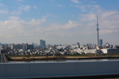 スカイツリーとビル群