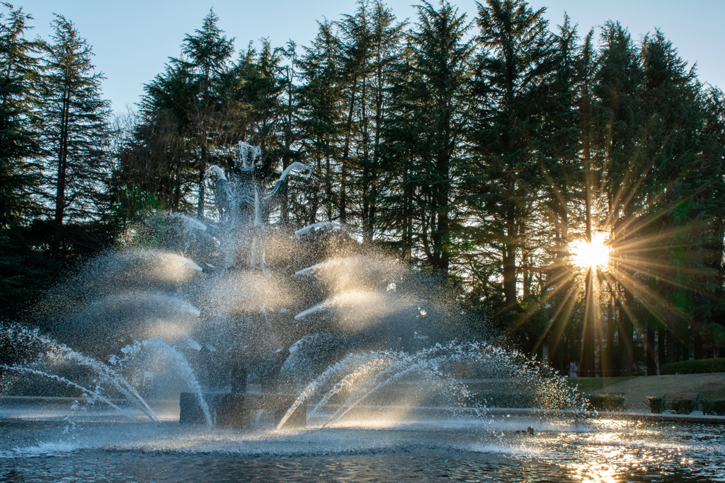 夕日と噴水