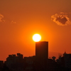 夕日