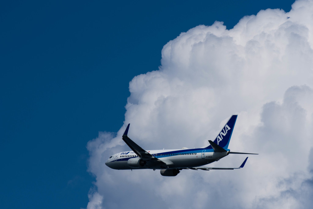 入道雲と飛行機