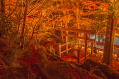 秋夜の石山寺
