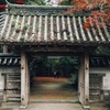 紅葉