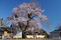 茨城県坂東市・歓喜寺