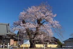 茨城県坂東市・歓喜寺