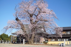 茨城県坂東市・歓喜寺