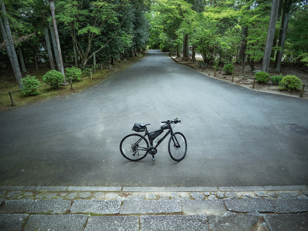曼殊院まで登ってきたよ