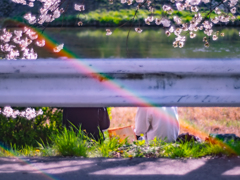 ガードレールの写真