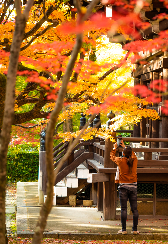 頭に紅葉のってるよ