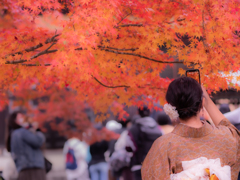 南禅寺紅葉着物女子