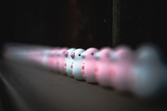 人の願いも横並び