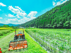 里山の風景　３