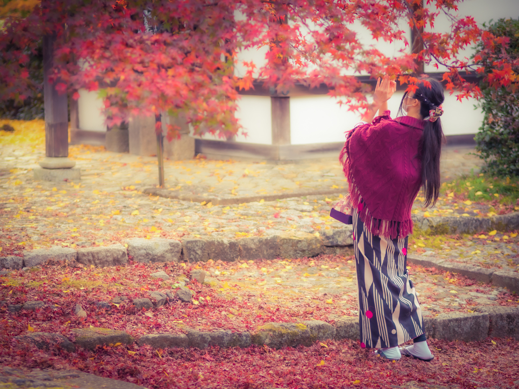 紅葉と着物女子