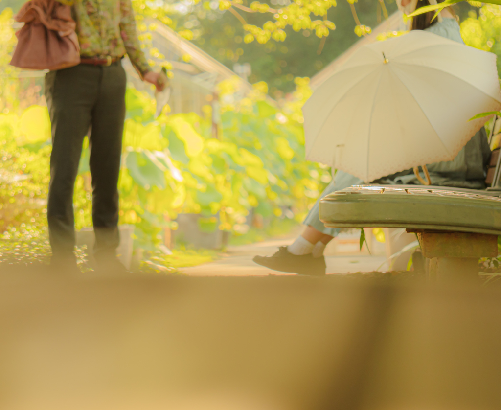 植物園デートカップルオンザベンチ
