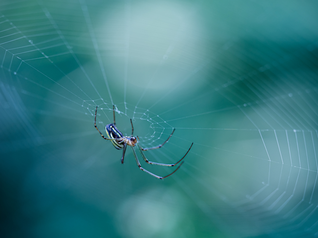 パクっと食べたら完成や〜