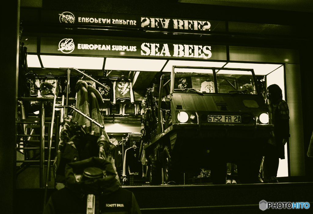 SEA BEES