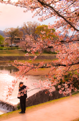 桜おじさん