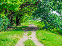 ちょっと木陰で休みます