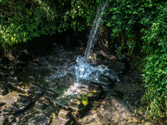 滝ということでお願いします