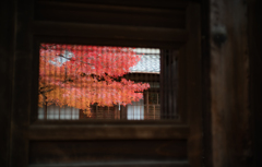 額縁効果