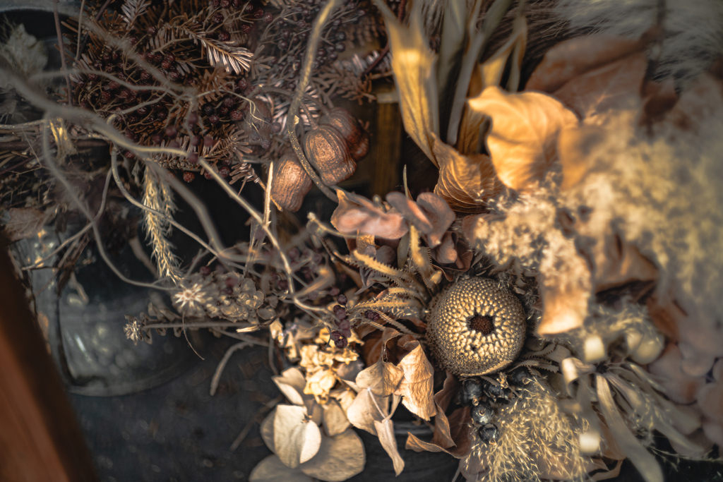 枯れた後も美しく