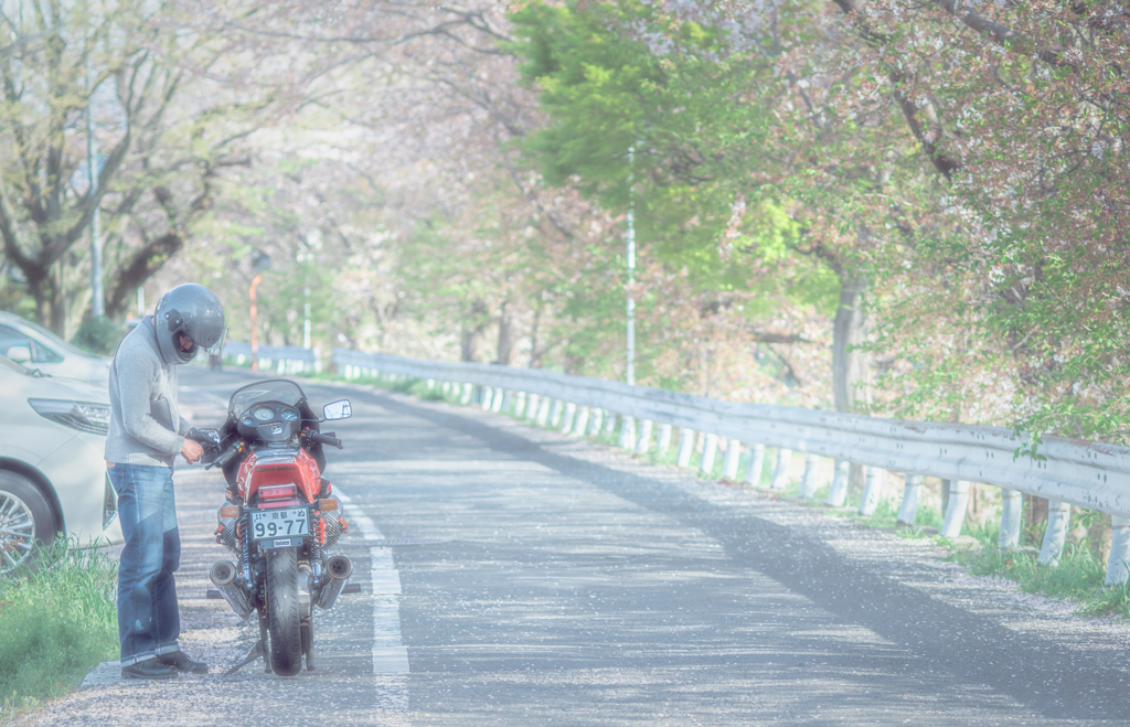 調子悪そな縦置きVツイン