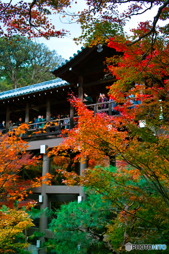 通天橋と紅葉①