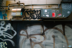 明けましておめでとうございます。本年もよろしくお願いしますm(_ _)m