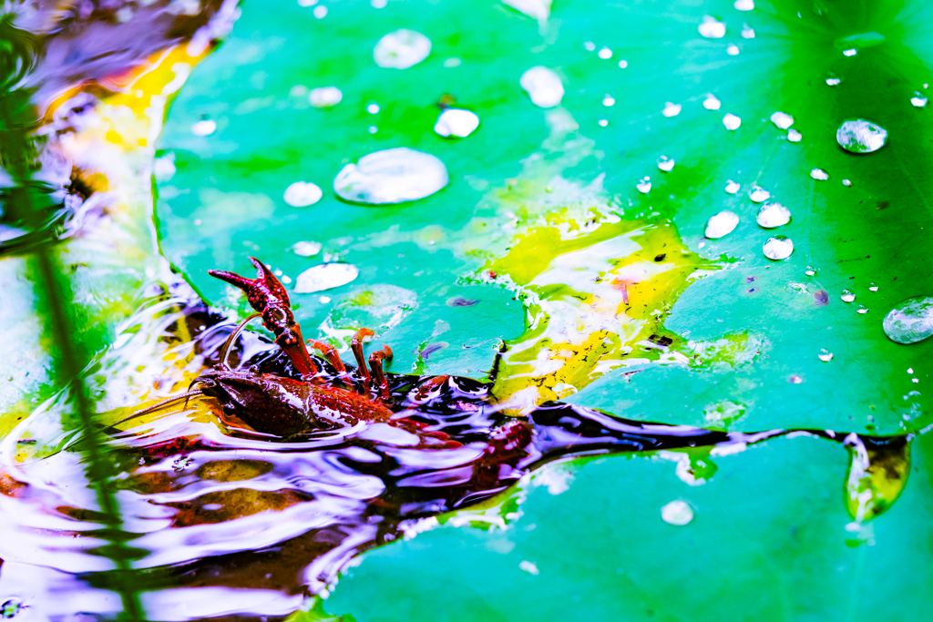 じゃんけん、チョキ！！