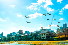 光に向かって飛んで行け