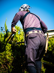 庭師の背中は格好いい