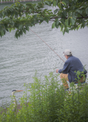 外来魚はわたくしが引き取ります