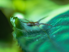 そこで待っても獲物は来ない