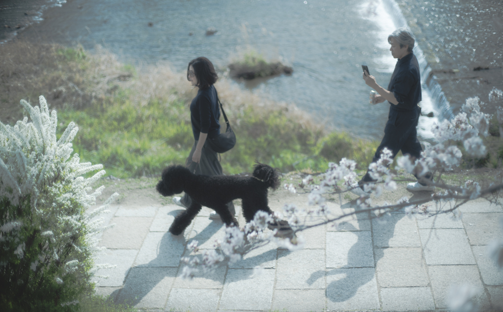 黒い犬っと
