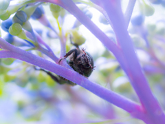 こんにちは、花粉まみれで失敬。