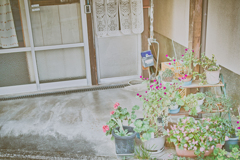 心に花を。あと玄関にも。