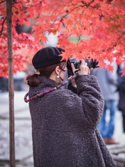 紅葉に全集中