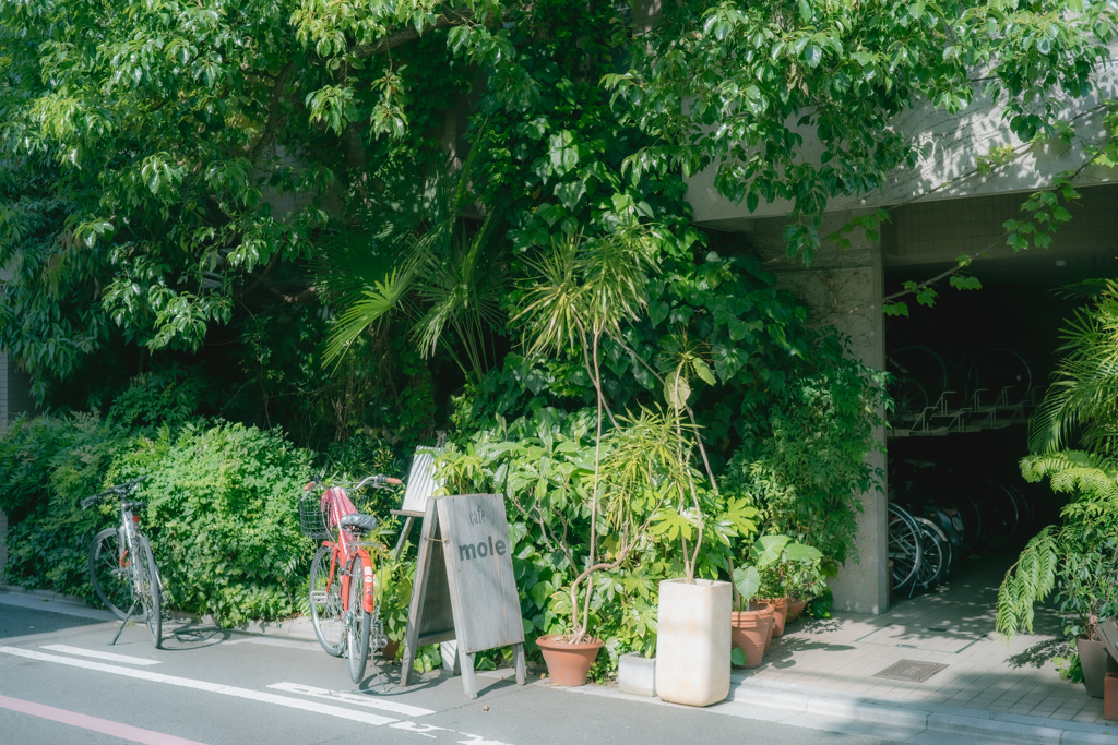 ジャングルカフェの別のアングル