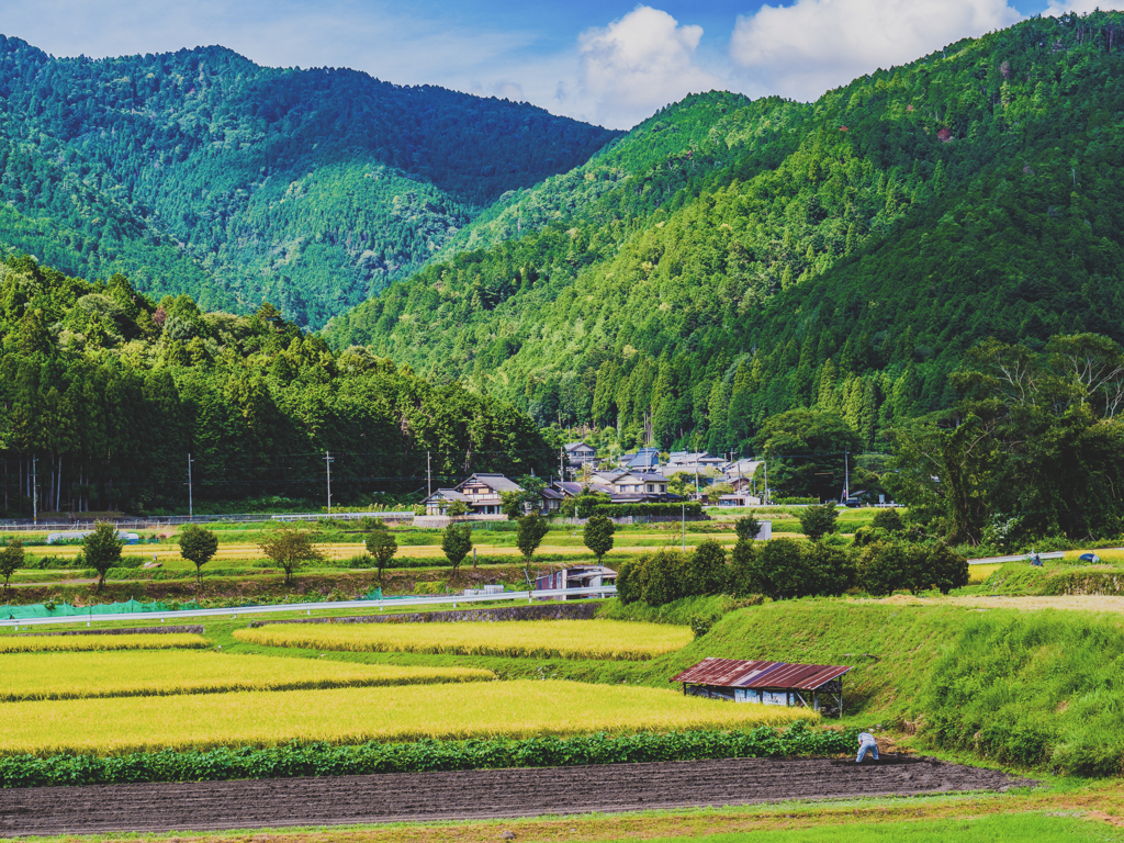 大原の風景