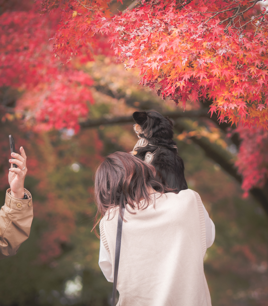 家族に愛されてるワンコ